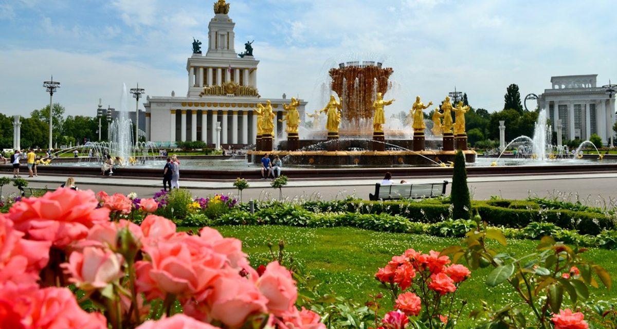 У Московских ворот тюльпаны посадили прямо в кусты роз, чтобы весной они зацвели раньше